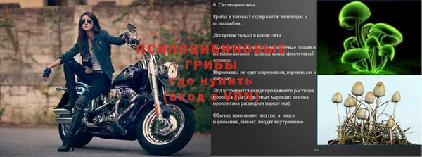 мескалин Алзамай